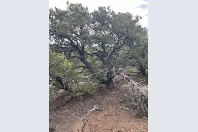 Lot 1865 Wilkings Road, Fort Garland, CO 81133 - Photo 15