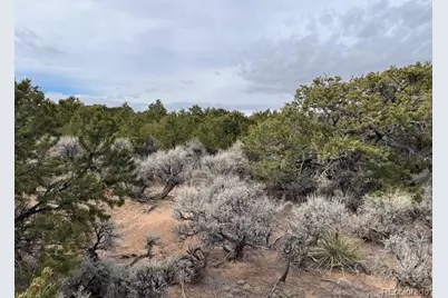 Lot 1865 Wilkings Road, Fort Garland, CO 81133 - Photo 11