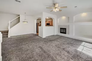 474 Black Feather Loop, Castle Rock, CO 80104 - Photo 9