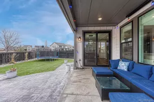 9147 Star Streak Cir, Littleton, CO 80125 - Photo 47