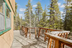 89 Prospectors Way, Bailey, CO 80421 - Photo 29