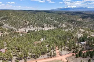 2450 Pathfinder Rd, Florissant, CO 80816 - Photo 27