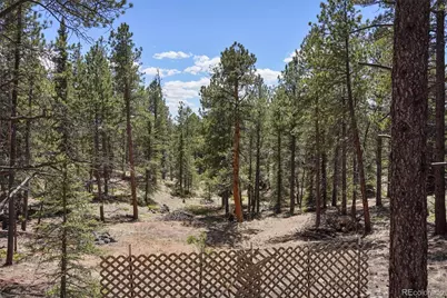 2450 Pathfinder Road, Florissant, CO 80816 - Photo 23