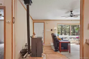 2450 Pathfinder Rd, Florissant, CO 80816 - Photo 5