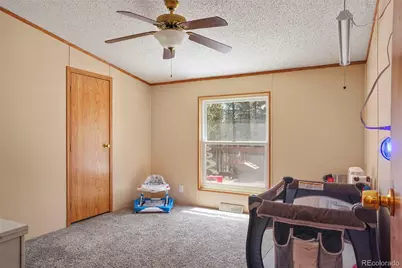 2450 Pathfinder Road, Florissant, CO 80816 - Photo 17