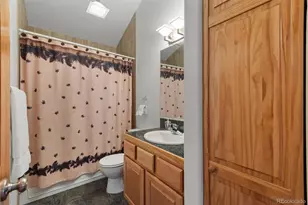 172 Rogers Rd, Bailey, CO 80421 - Photo 21