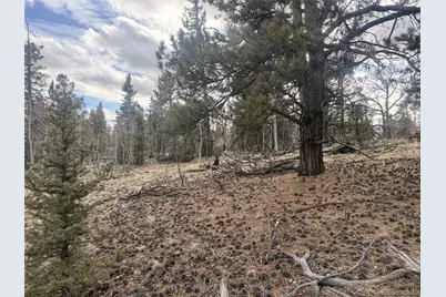 837 Concord Drive, Jefferson, CO 80456 - Photo 15