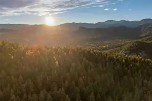 31327 Kings Valley W, Conifer, CO 80433 - Photo 9