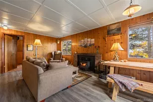 31327 Kings Valley W, Conifer, CO 80433 - Photo 27