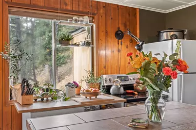 31327 Kings Valley W, Conifer, CO 80433 - Photo 19