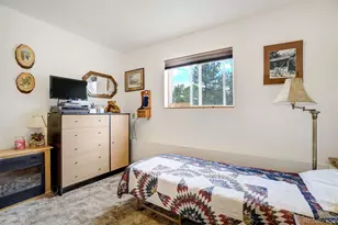 2134 Homestake Pl, Florissant, CO 80816 - Photo 29
