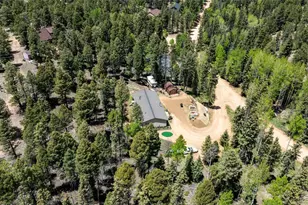 44 Silver Trail, Florissant, CO 80816 - Photo 33