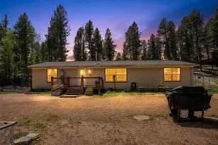 44 Silver Trail, Florissant, CO 80816 - Photo 3