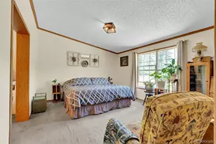 44 Silver Trail, Florissant, CO 80816 - Photo 17