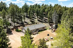 44 Silver Trail, Florissant, CO 80816 - Photo 29
