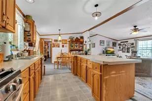 44 Silver Trail, Florissant, CO 80816 - Photo 9