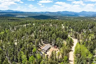 44 Silver Trail, Florissant, CO 80816 - Photo 35