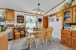 44 Silver Trail, Florissant, CO 80816 - Photo 7
