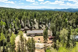 44 Silver Trail, Florissant, CO 80816 - Photo 31