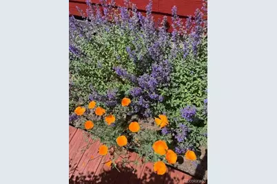 476 S 35th Court, Brighton, CO 80601 - Photo 43