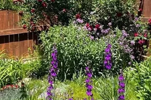 476 S 35th Ct, Brighton, CO 80601 - Photo 41