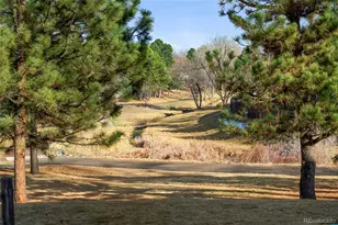 5260 S Jellison St, Littleton, CO 80123 - Photo 45