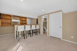 672 English Sparrow Trail, Highlands Ranch, CO 80129 - Photo 31