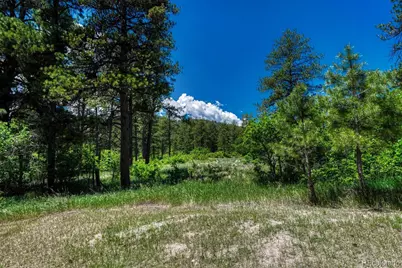 9306 S Curtis Road, Larkspur, CO 80118 - Photo 47