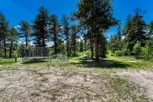9306 S Curtis Rd, Larkspur, CO 80118 - Photo 45