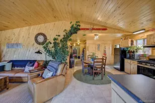 33733 Co Rd 373A, Buena Vista, CO 81211 - Photo 9