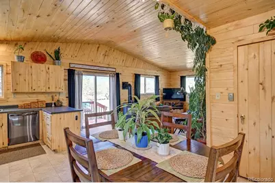 33733 County Road 373A, Buena Vista, CO 81211 - Photo 11