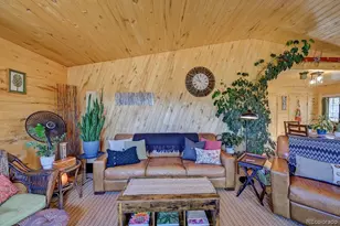 33733 Co Rd 373A, Buena Vista, CO 81211 - Photo 13