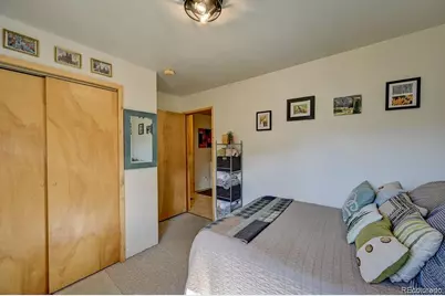 33733 County Road 373A, Buena Vista, CO 81211 - Photo 19