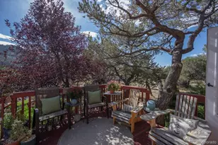 33733 Co Rd 373A, Buena Vista, CO 81211 - Photo 33