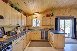 33733 Co Rd 373A, Buena Vista, CO 81211 - Photo 5