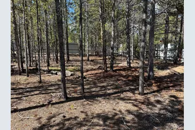 379 Spruce Drive, Leadville, CO 80461 - Photo 5