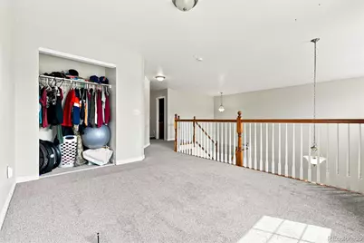3754 S Orleans Street, Aurora, CO 80013 - Photo 21