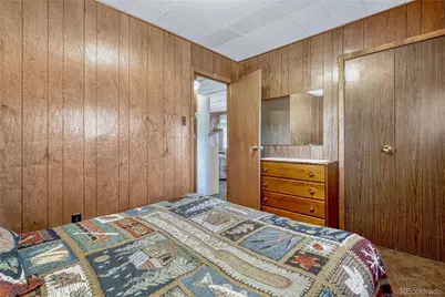 101 Dunlap Drive, Florissant, CO 80816 - Photo 21