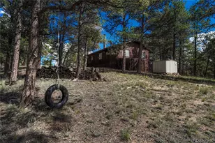 101 Dunlap Dr, Florissant, CO 80816 - Photo 31