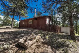 101 Dunlap Dr, Florissant, CO 80816 - Photo 33