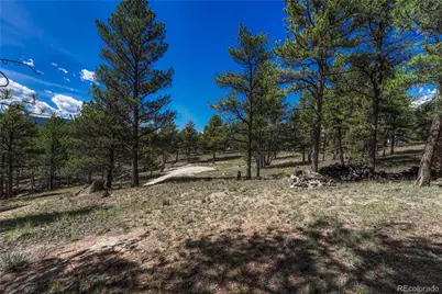 101 Dunlap Drive, Florissant, CO 80816 - Photo 29