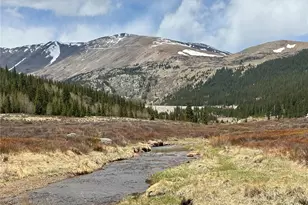 2246 Co Rd 4, Alma, CO 80420 - Photo 11
