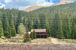 2246 Co Rd 4, Alma, CO 80420 - Photo 31