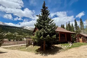 2246 Co Rd 4, Alma, CO 80420 - Photo 49