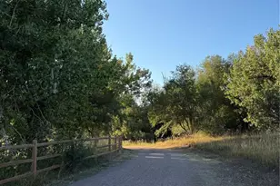 1304 Snowberry, Louisville, CO 80027 - Photo 19