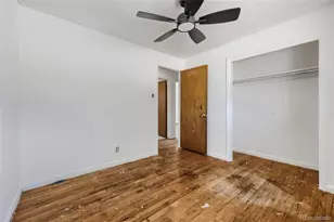 116 Ash Ave, Castle Rock, CO 80104 - Photo 11
