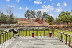 508 English Sparrow Trail, Highlands Ranch, CO 80129 - Photo 15