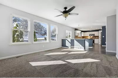 508 English Sparrow Trail, Highlands Ranch, CO 80129 - Photo 11