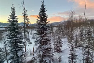 9800 Ryan Gulch Rd, Silverthorne, CO 80498 - Photo 11