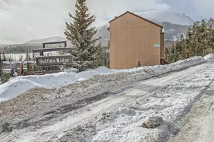 9800 Ryan Gulch Rd, Silverthorne, CO 80498 - Photo 15
